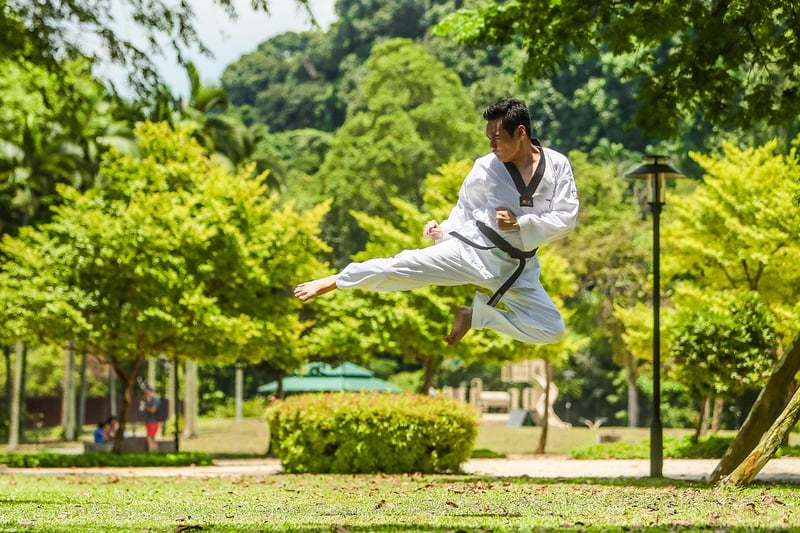 Tai Chi Sword